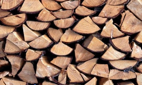 Дрова дубовые